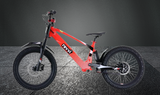 New Revvi 20" Bike - MotoX1 Motocross ATV 